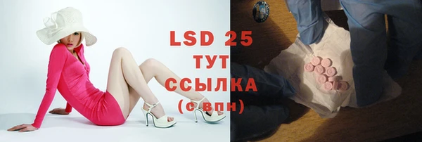 спайс Баксан