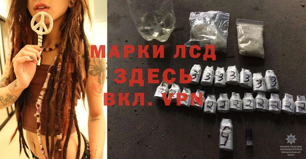 спайс Баксан